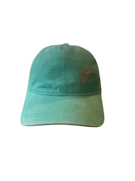 silky lined baseball cap in turquoise